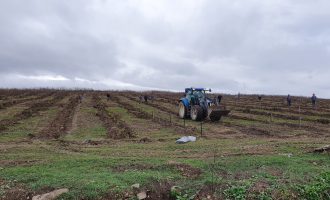 KEK-u synon të shndërroj ish deponinë e hirit në oazë të gjelbër