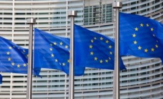 BE pret formimin e Asociacionit: Kushtetuesja s’ka thënë që nuk mund themelohet