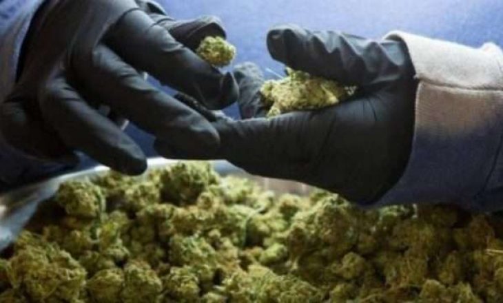 Kush është “daja”, kapoja shqiptar i drogës?