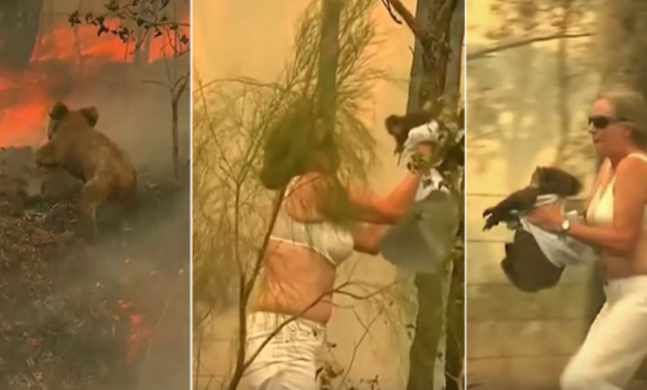 Koala po digjej, gruaja hidhet drejt flakëve për ta shpëtuar