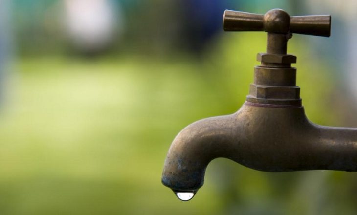 ​Uji nuk është bartës i koronavirusit