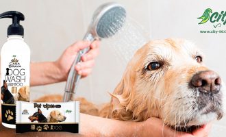 Mbaje pastër dhe shëndetshëm mikun tënd më të mirë