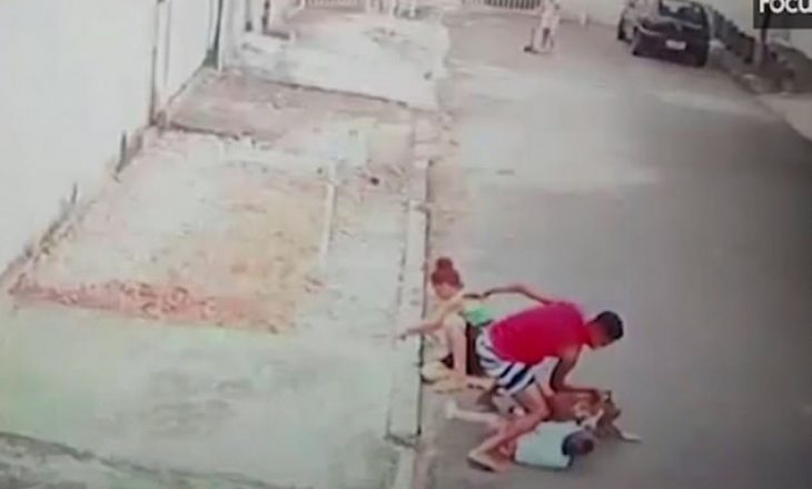 I riu hero lufton me qenin pitbull dhe i shpëton jetën 4-vjeçarit
