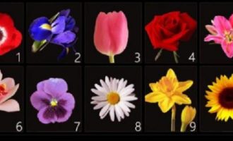 Zgjidh lulen që të tërheq dhe gjej një përshkim të veçantë për karakterin tënd