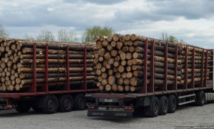‘201 familje me asistencë sociale do të ndihmohen për të blerë drunj për ngrohje’