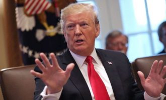 Donald Trump mbështetet te rritja ekonomike për t’u rizgjedhur president