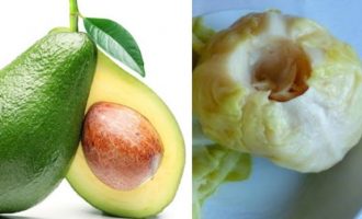 Pesë super-ushqimet që duhet konsumuar gjatë stinës së dimrit