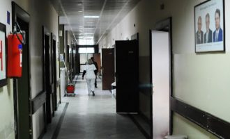 Gripi, prej tetorit mbi 9500 raste në Kosovë