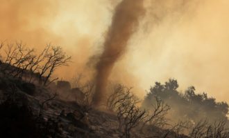 Shkencëtarët paralajmërojnë: Njerëzimi kërcënohet nga valët ekstreme të nxehtësisë