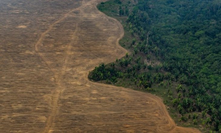 “Mushkëritë” e Tokës po shkatërrohen: Amazona plotësisht pa ligj
