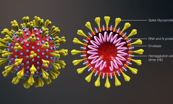 Koronavirusi, shkencëtarët në garë për vaksinën e re