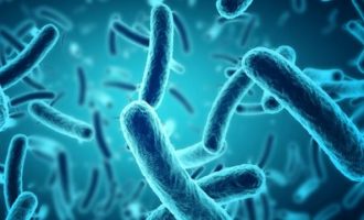 Përdorimi i dy llojeve të antibiotikëve e nxit rezistencën e bakterit