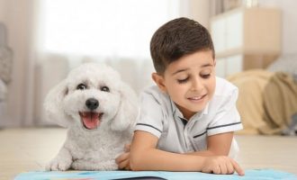 ​Një qen ju zgjat jetën