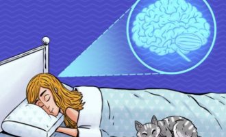 Ja çfarë shkakton në tru mungesa e gjumit