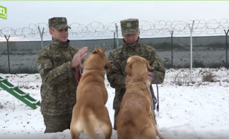 Sadak e Alli – Heronjët që shpëtuan jetë në Shqipëri