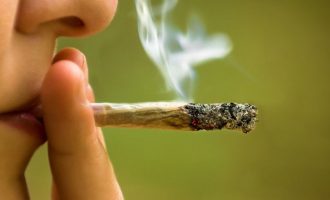 Kanabisi, ja si ndikon në tru