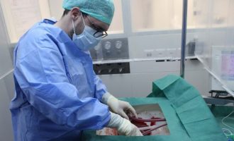 Shpiket makina që mban mëlçinë të gjallë deri në shtatë ditë