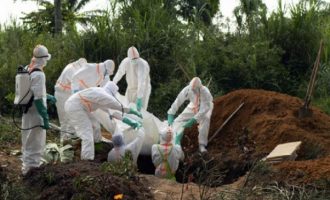 Këto viruse janë më vdekjeprurëse se korona