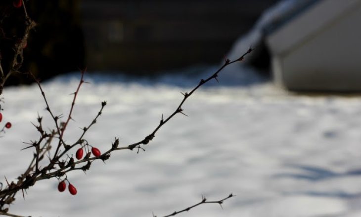 Nga kjo ditë pritet të bie borë në Kosovë