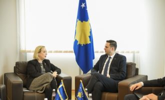 ABDIXHIKU PRITI NË TAKIM AMBASADOREN SUEDEZE