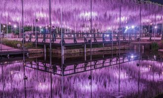 Perde nga lulet: A është ky parku më i bukur në botë?