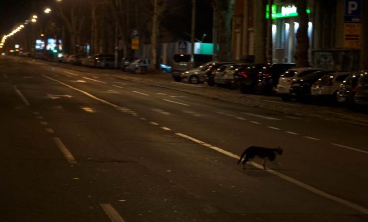 Ora policore në Serbi: Në Beograd shumë njerëz të arrestuar sepse nuk donin të shkonin në shtëpi