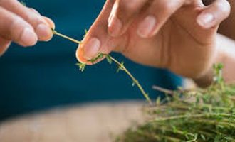 Antibakterialët natyral që të kujdeseni për veten në këto ditë të vështira