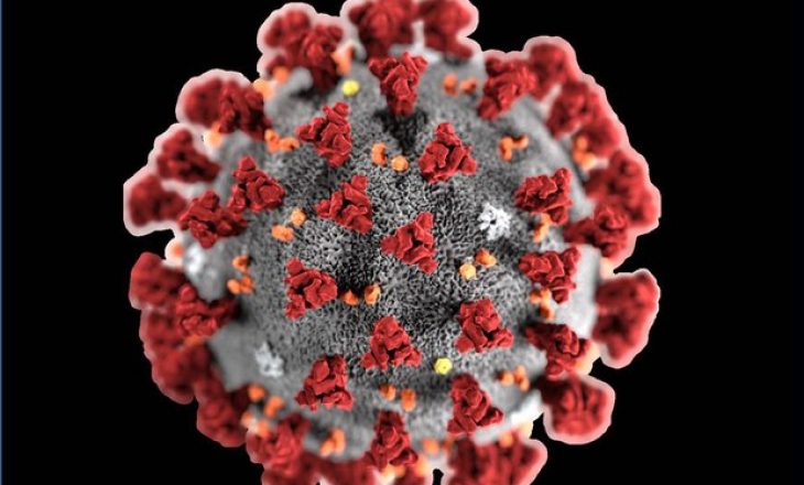 22 vjeqarja me famë botërore, dhuron 1 milion dollarë për të infektuarit me koronavirus
