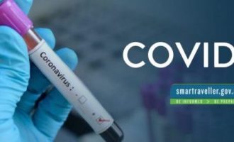 Shkencëtarët australianë: Sistemi imunitar i njeriut është në gjendje të luftojë COVID-19