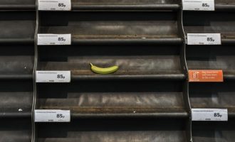 Nga virusi tek rimëkëmbja: Si do ndryshojë bota gjatë 18 muajve të ardhshëm