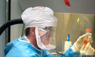 Cili grup gjaku është më i rrezikuar nga koronavirusit? Ja çfarë thonë ekspertët