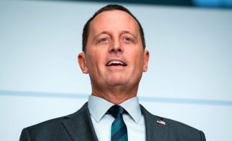 Google e listoi gabimisht si president të SHBA-së, Grenell merr disa “urdhra ekzekutivë”