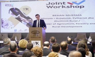 ​Mustafa: Bujqësia, sektori primar i zhvillimit ekonomik