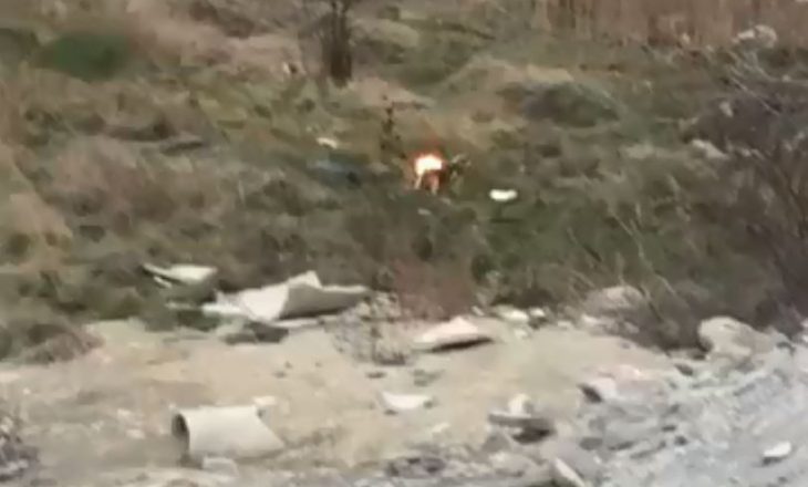 I vunë zjarrin qenit në Mitrovicë me arsyetimin se ka koronavirus – policia jep këto detaje