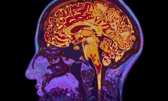 CODIV-19/ Si reagon truri gjatë ditëve të izolimit?