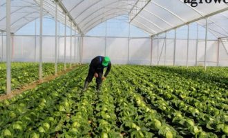 ​Shtyhet afati për leje dhe licenca në bujqësi dhe pylltari