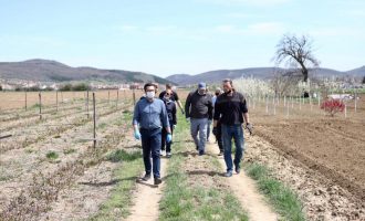 Mustafa dhe Ahmeti pranë bujqve prishtinas