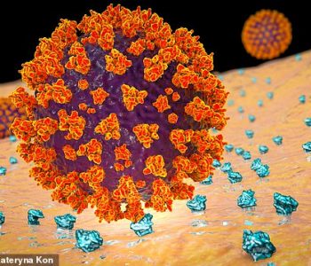 Injeksioni i ‘proteinave të dekompozimit’ mund të ndalojë qelizat e koronavirusit që infektojnë brenda trupit