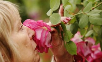 A mund të jetë humbja e nuhatjes, simptomë e COVID-19?