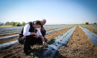Veseli kërkon urgjent miratimin e Pakos Ekonomike