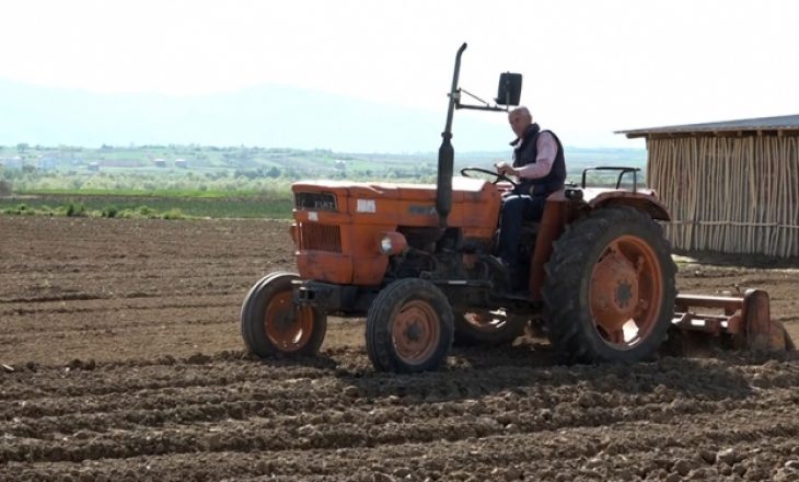 Puna 50 vjeçare e familjes Hoti në bujqësi këtë vit rrezikon shuarjen shkaku i koronavirusit