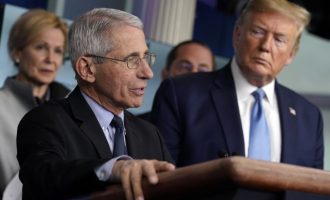 “Jeta nuk mund të kthehet kurrë më në normale”, thotë eksperti kryesor për coronavirusin në SHBA