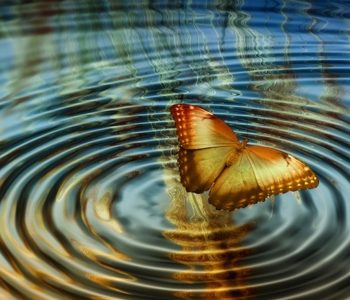 Parashikimet për një rend të ri botëror. Efekti flutur i koronavirusit