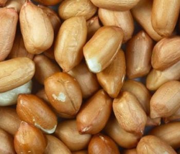 Pse duhet të hani kikirikë çdo ditë në të mirë të zemrës