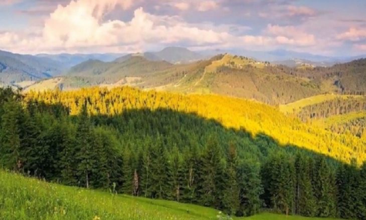 ​Agjencia e Pyjeve të Kosovës apelon për mbrojtjen e pyjeve nga zjarret