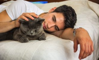 Nuk po gjeni dot një të dashur? Ndoshta macja po ju prish punë