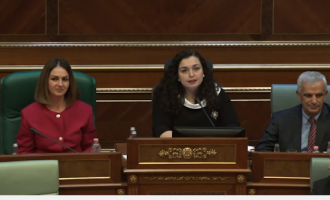 Deputeti i AAK-së – Vjosa Osmanit: Turp të kesh zonjë