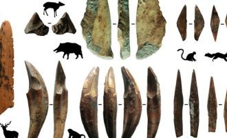 Shkenca e zbulon: 48,000 vjet më parë ishte zbuluar harku e shigjeta për gjah