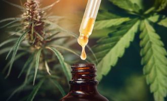 Hulumtuesit sugjerojnë vajin e kanabisit për inflamacionin e mushkërive nga COVID-19