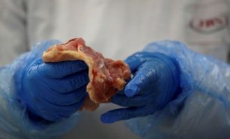 Mishi që ndihmoi në përhapjen e COVID-19